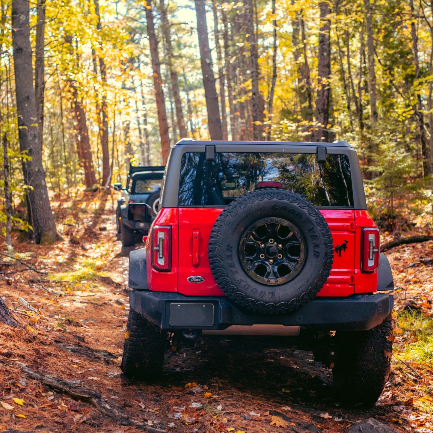 New Hampshire - Advanced Recovery