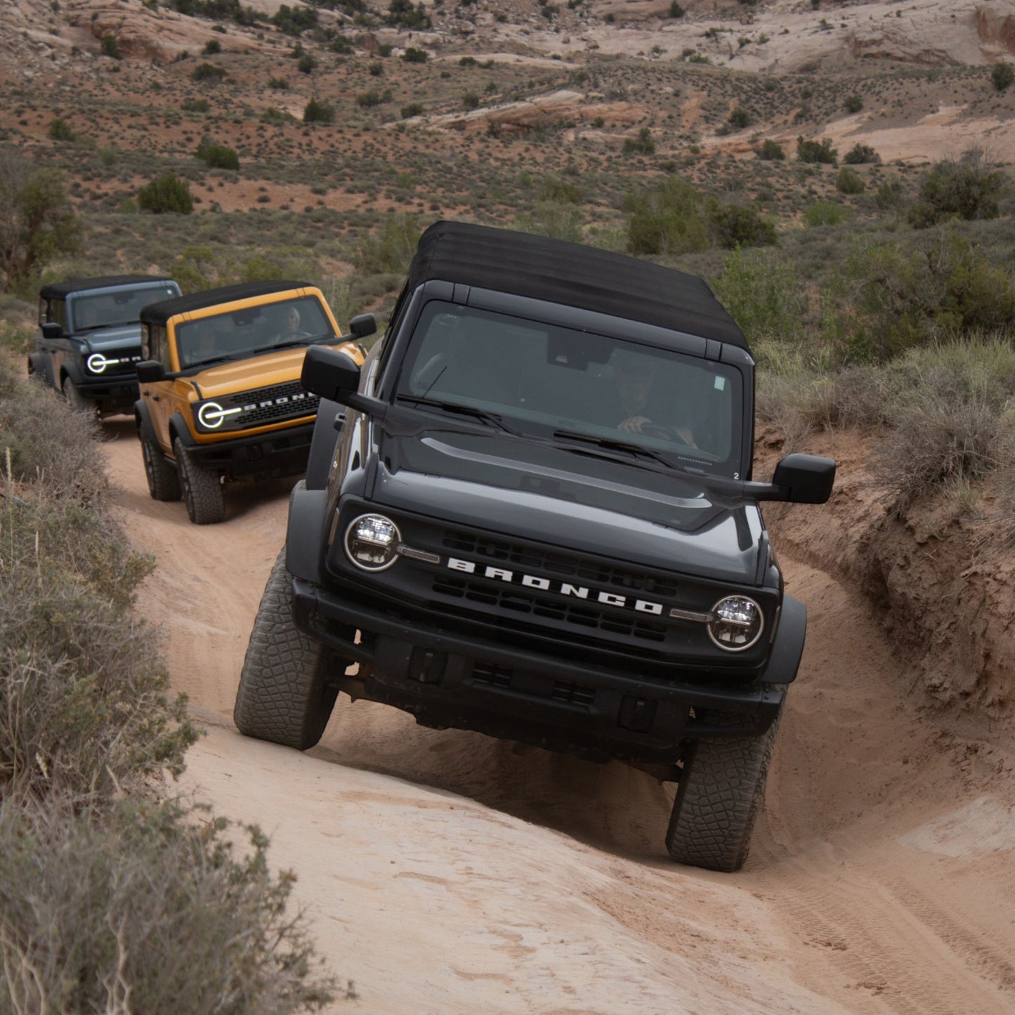 Moab -  Next Level Off-Road